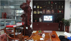 福建環(huán)境展示