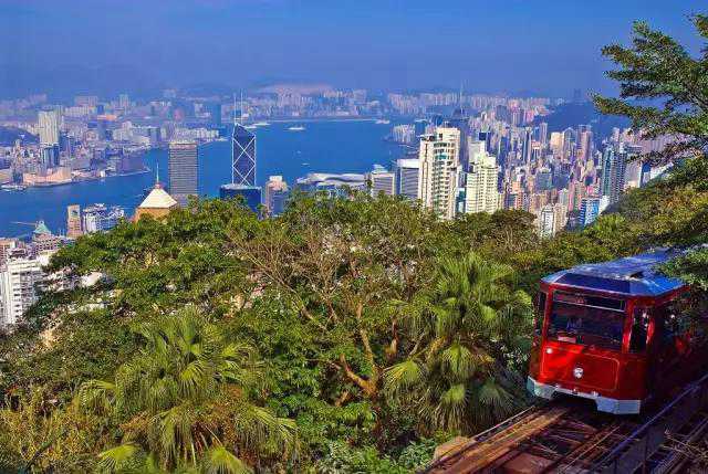 太平山頂看香港美景.jpg 太平山頂看香港美景.jpg